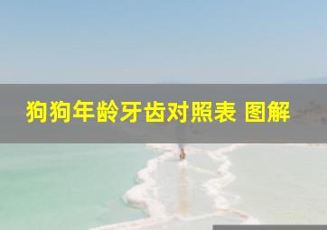 狗狗年龄牙齿对照表 图解